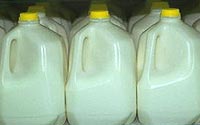 Milk Milk