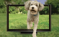 3DTV2