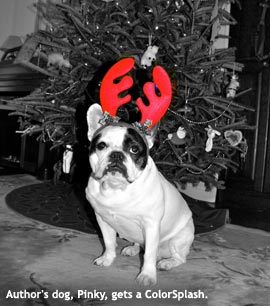 ColorSplash_Pinky