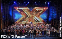 The-X-Factor