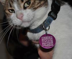 Cat-Code