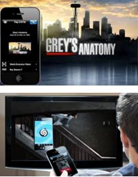 Grey-Anatomy Grey-Anatomy