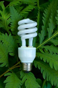 Lightbulb-Green-Products