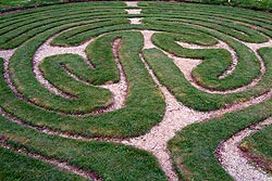 Maze