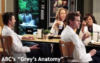 Greys-Anatomy Greys-Anatomy