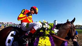 The-breeders-cup-B2