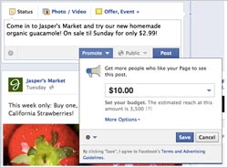 Facebook-Strawberry-B2
