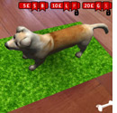 MyRoyalCorgi