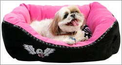Puppy-in-Bed-B