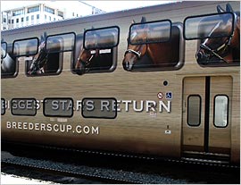 Breeders-Cup-B