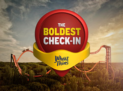 Wheat-Thins-B
