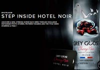 Grey-Goose-B2