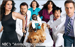 AnimalPractice-2_1