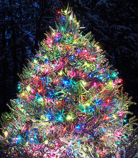 Christmas-Tree-B2 Christmas-Tree-B2