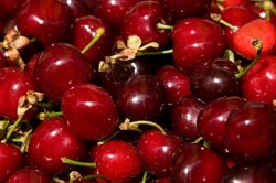 Cherries Cherries