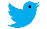 Twitter-Bird