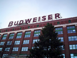 Budweiser-Plant