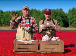 Ocean-Spray-Ad