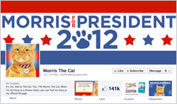 Morris-the-Cat