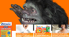 Zicam-B2