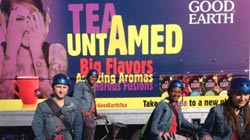 Tea-UnTamed Tea-UnTamed