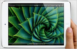 Ipad-Mini-BB