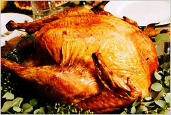 Thanksgiving-Turkey-B