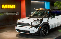 Minim-Cooper-B