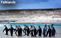 Falklands-A