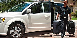 United-baggage-delivery-B