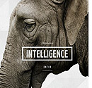 WWF