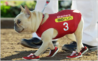 Sketchers-super-bowl-ads-A2
