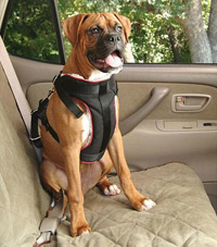 Dog-Solvitharness-B