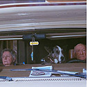 VW
