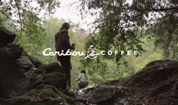 Caribou-coffee-B
