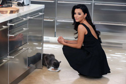Eva-Longoria-Sheba-cat-food-B