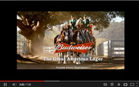 Video-ad-Budweiser-A