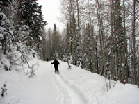 Snowshowing